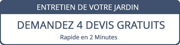 Devis entretien de jardin