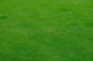Gazon synthétique